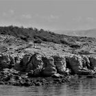 Ebenen - Insel Rab bei Lopar mit Kliffen, Bergen und Bergrücken