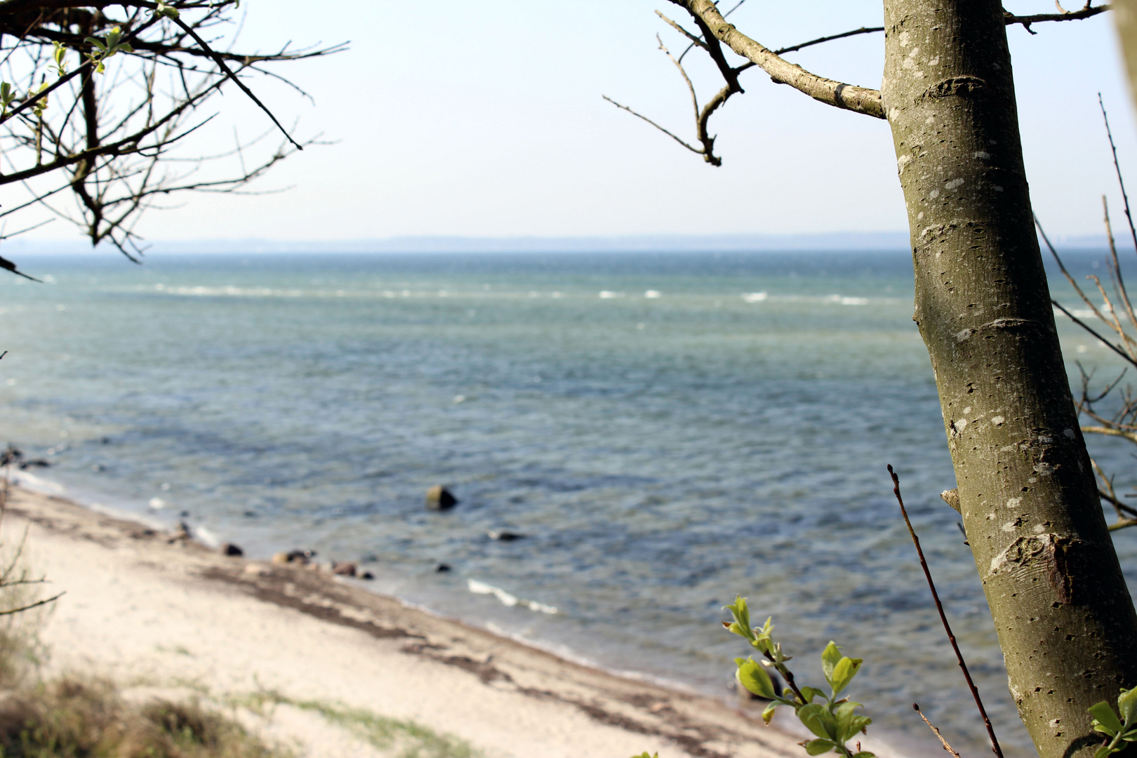 ebenfalls Steilküste in Stein bei Kiel