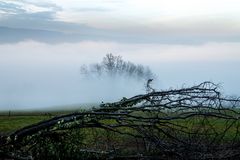 èber dem Nebel