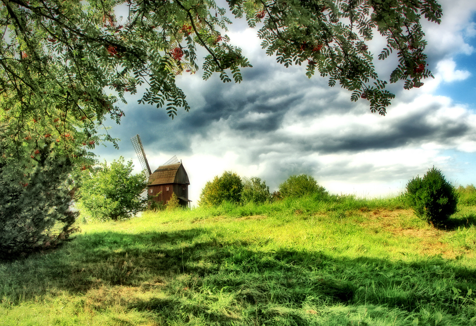 Eberesche mit Bockwindmühle