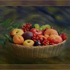  Ebereschen mit  Herbst Obst 