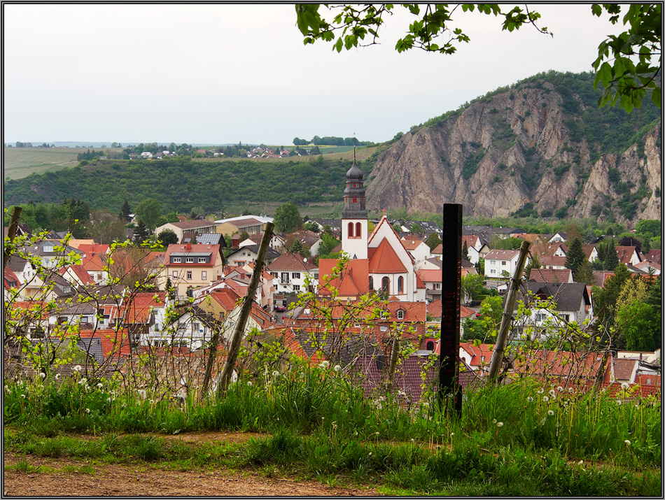 Ebernburg ( 5 )