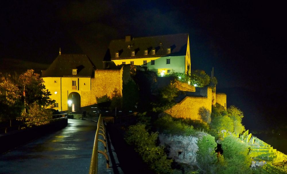 Ebernburg bei Nacht