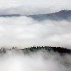 Ebersburg im Nebel,