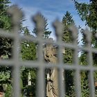 Ebershaldenfriedhof VII