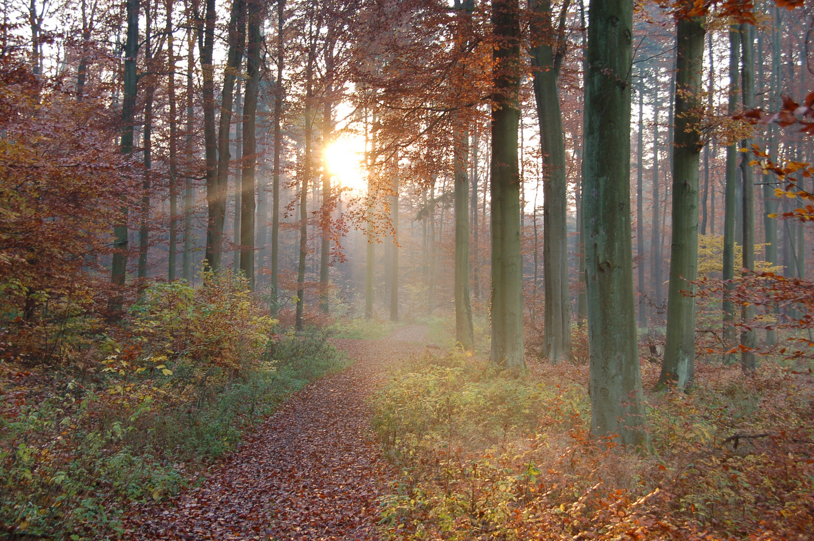 Eberswalde, Brunnenberge im Herbst