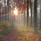 Eberswalde, Brunnenberge im Herbst