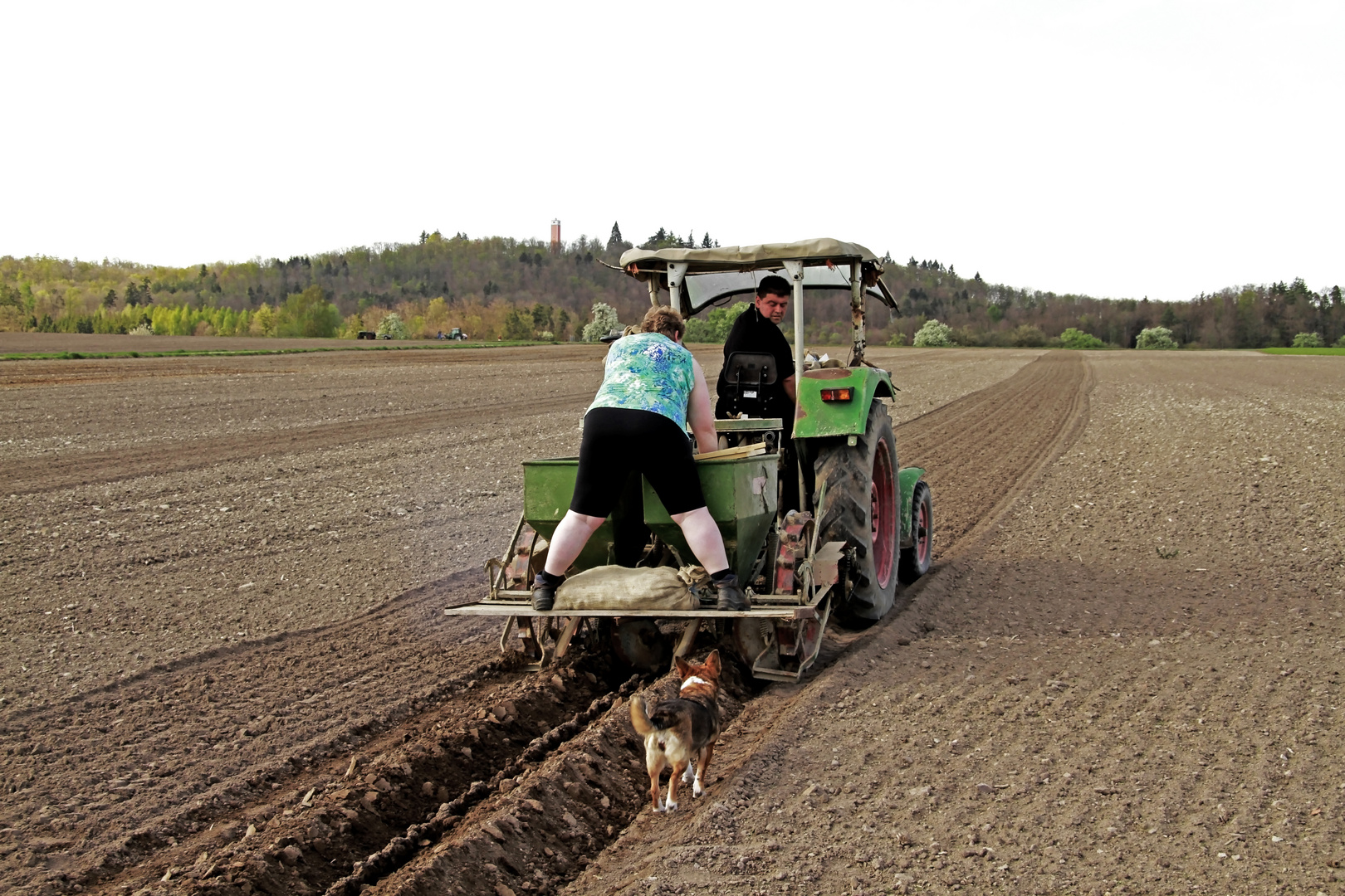 Ebira stegga 2012