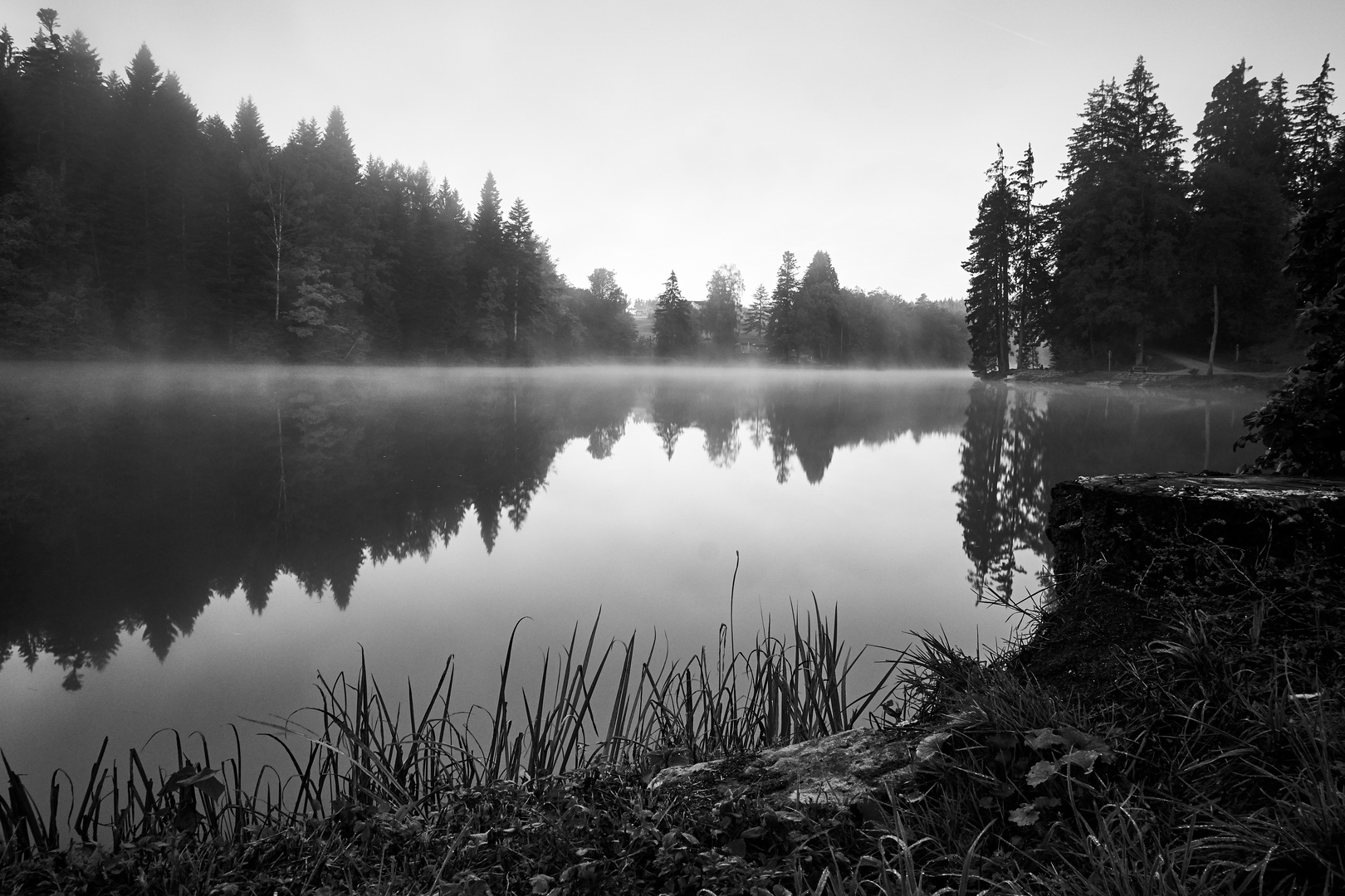 Ebnisee bei Nebel