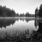 Ebnisee bei Nebel