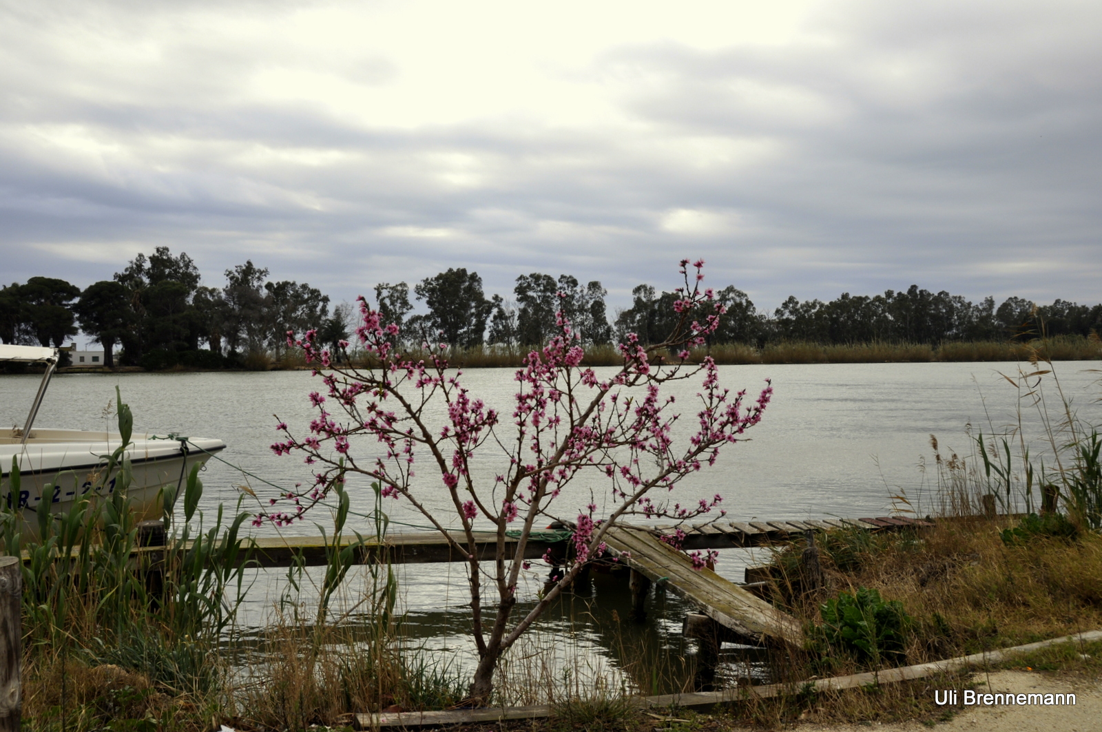 Ebro-Delta