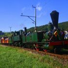 Ec 2/5 No. 28 "Genf" & Ed 2x2/2 No. 196. Personenwagen der Spanisch - Brötli - Bahn