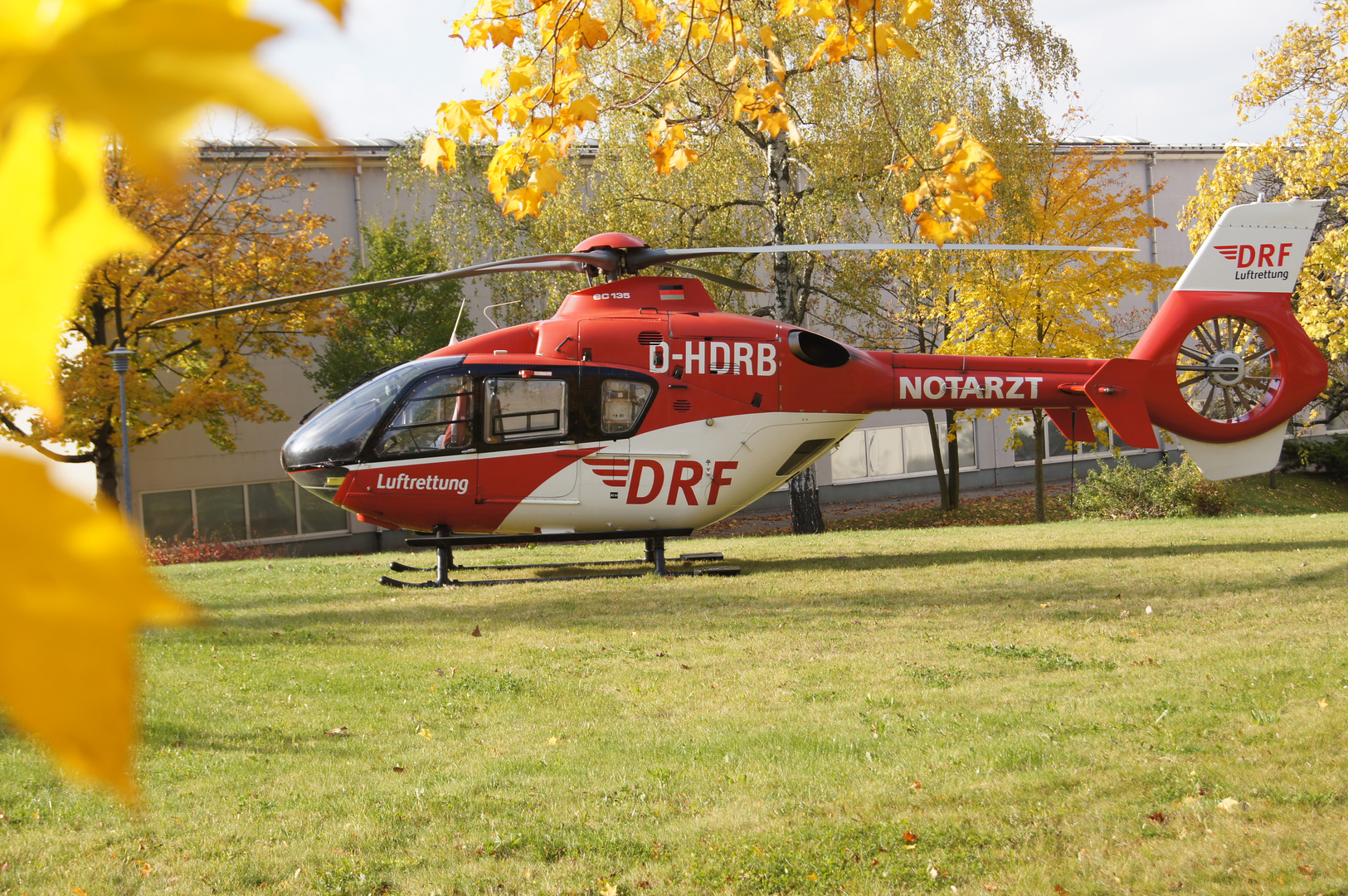 EC135 im Herbst