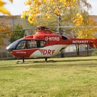 EC135 im Herbst