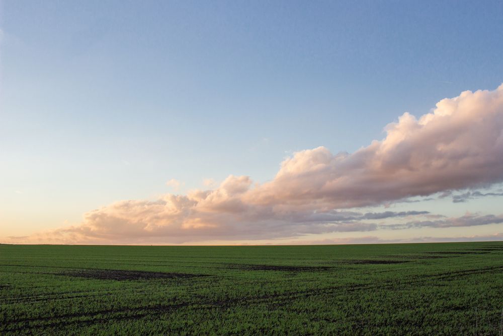 Himmel, Erde, Ende... von Carsten Endrikat 