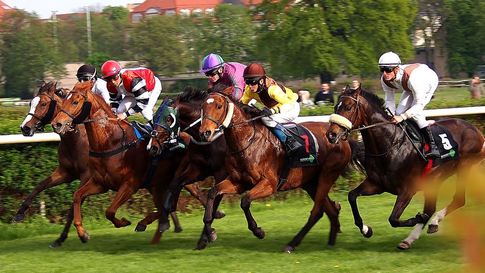 Aufgalopp von SchauMomente