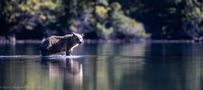 Crossing the Water by Viktor Davare