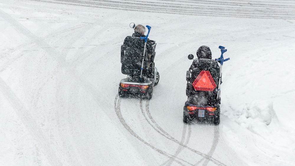 Spuren im Schnee von Werner Sokoll