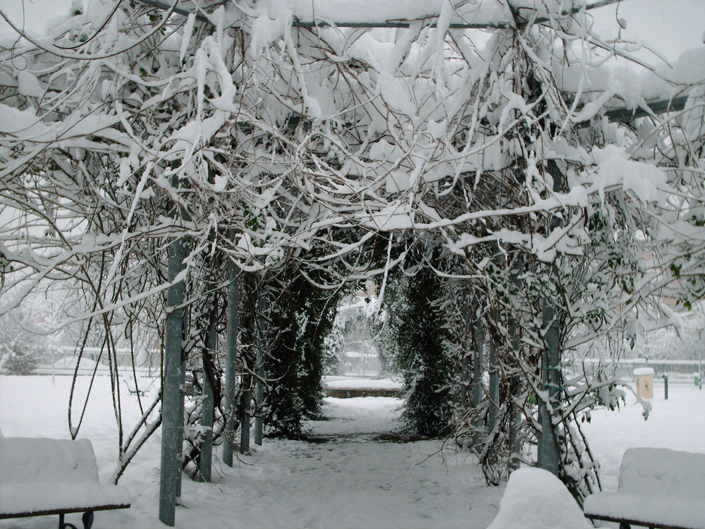 Eccezionale nevicata a Milano #1