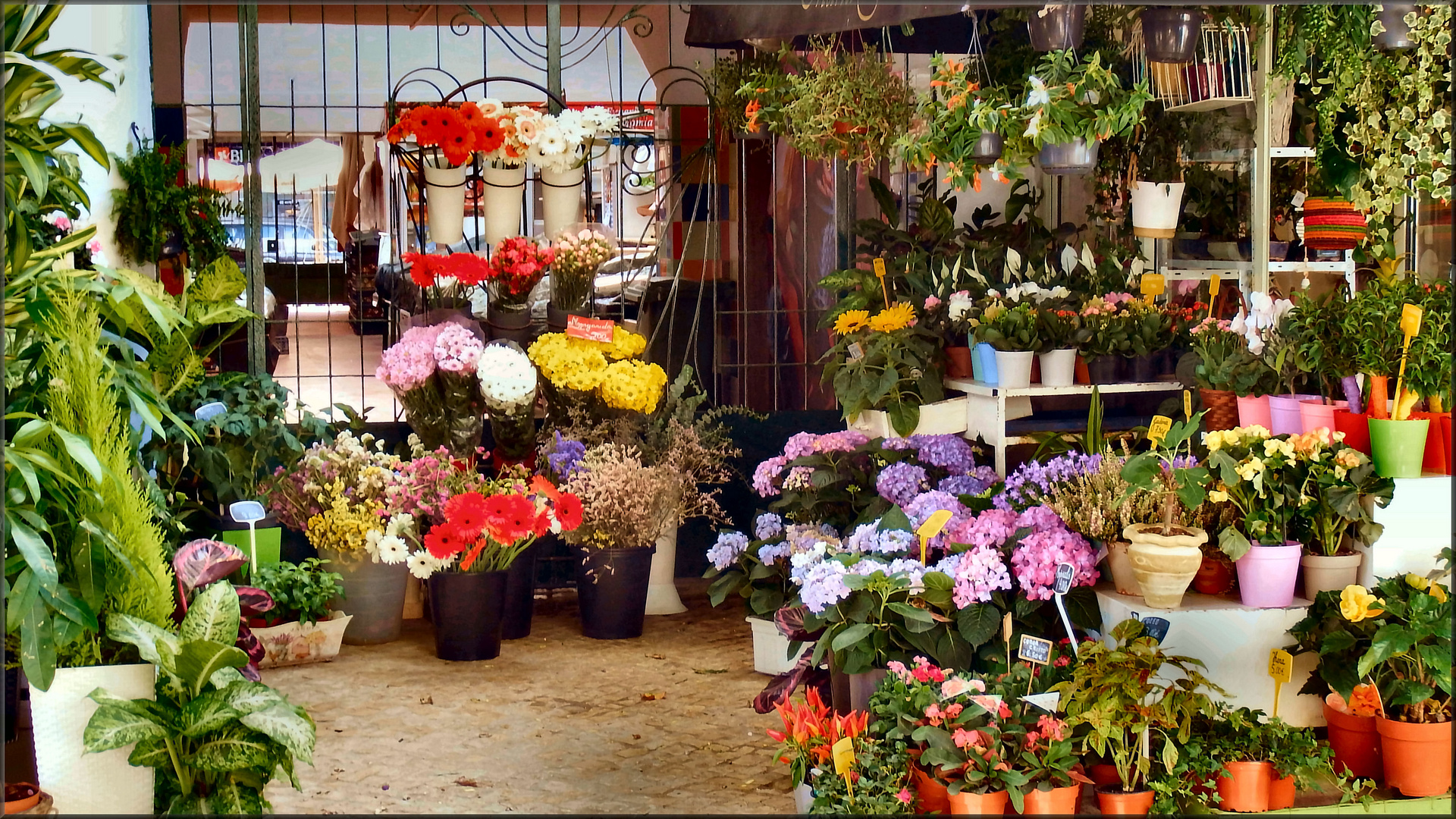 Ecco mi qui con miei fiori per gli amici