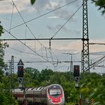 ECE 191 nach München