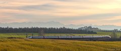ECE 192 nach Zürich