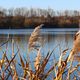 Herbst, mitten im Ruhrgebiet