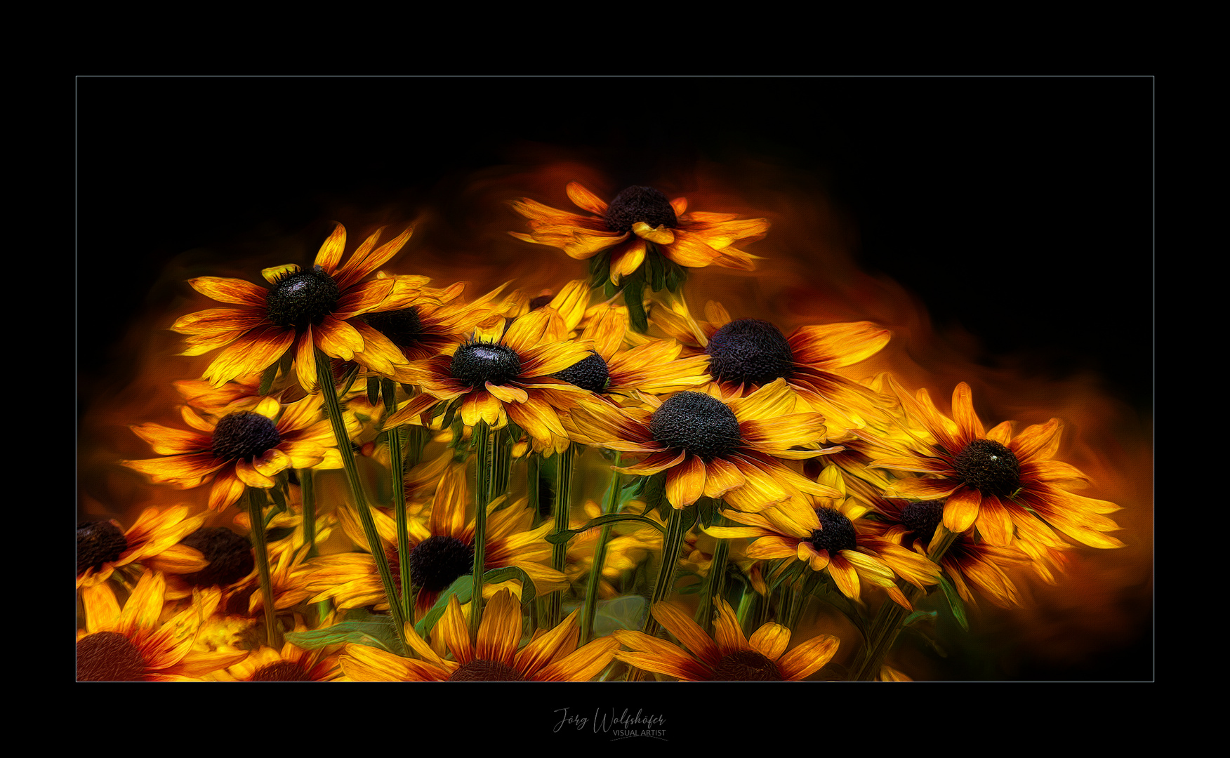 Echinacea-Art