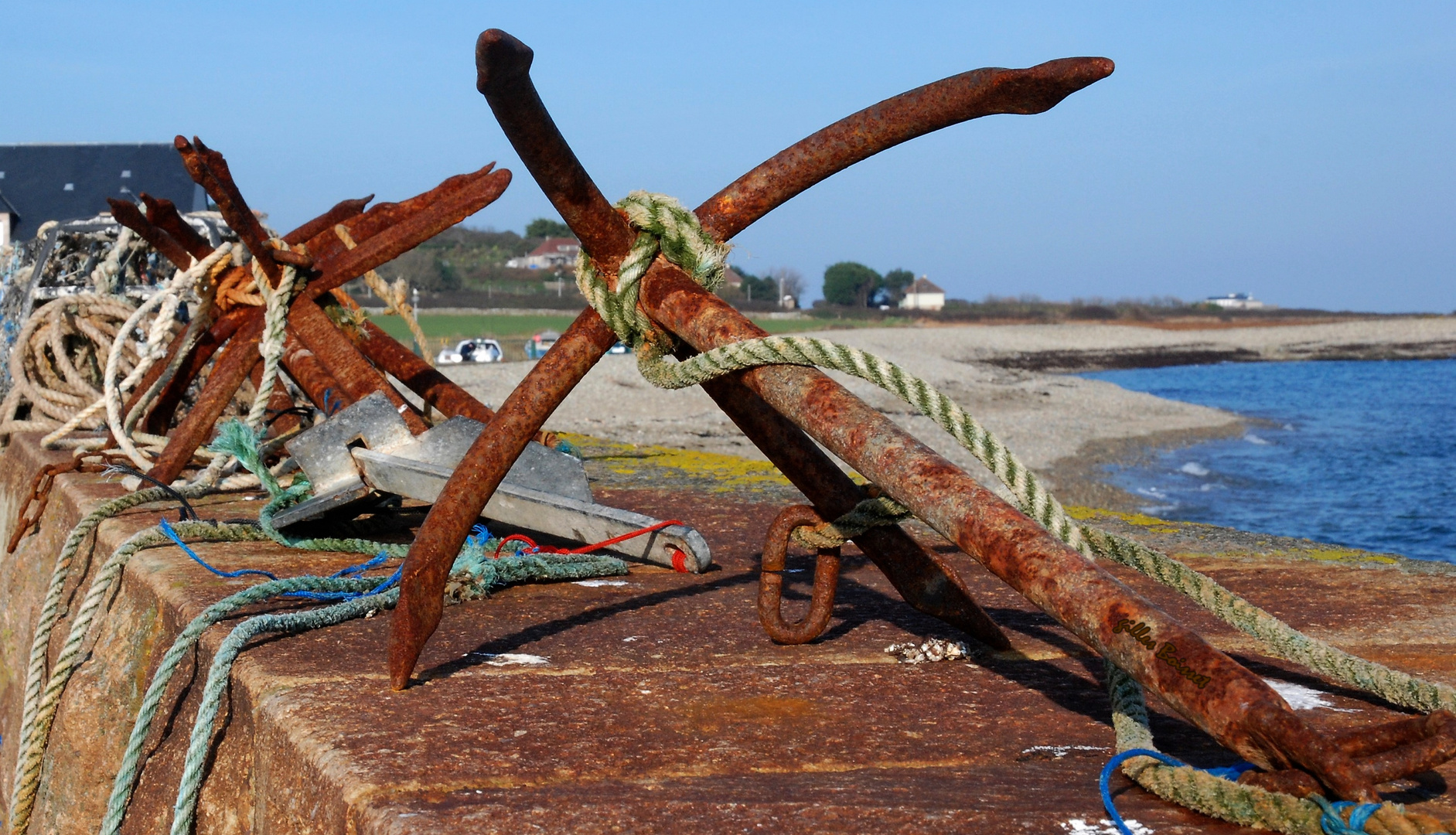 échines de port