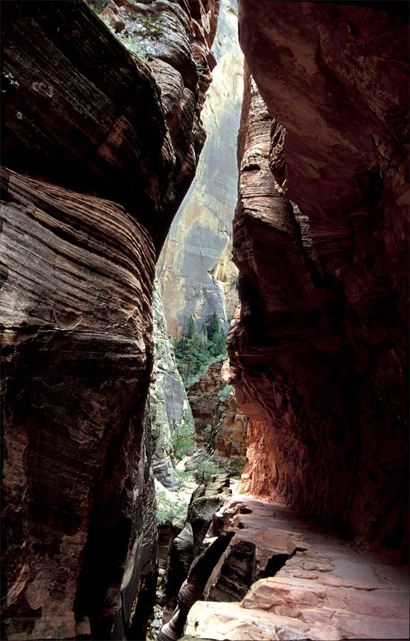 Echo Canyon, Zion NP