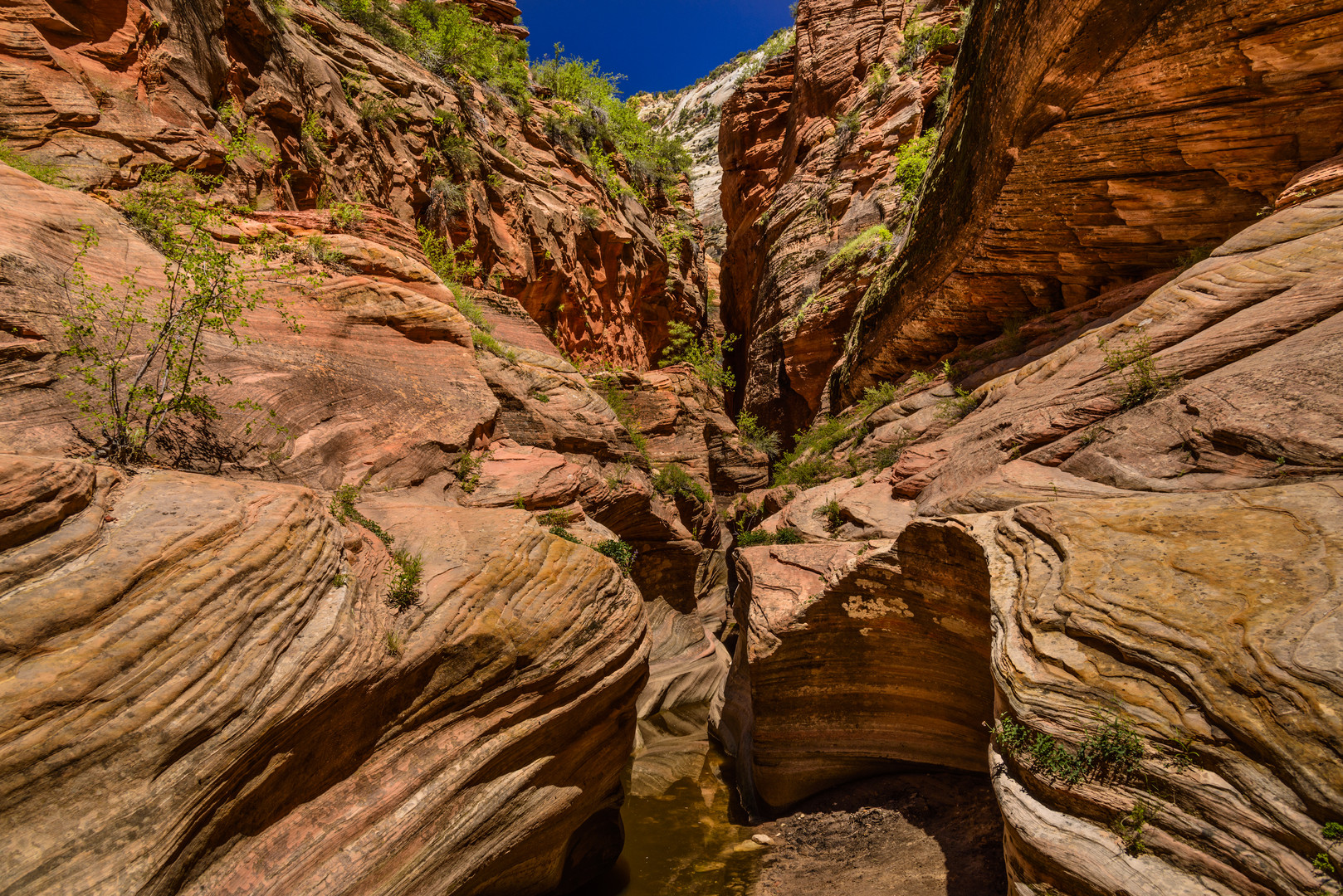 Echo Canyon, Zion NP, Utah, USA Foto & Bild frühling, himmel, natur