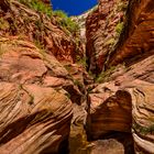 Echo Canyon, Zion NP, Utah, USA