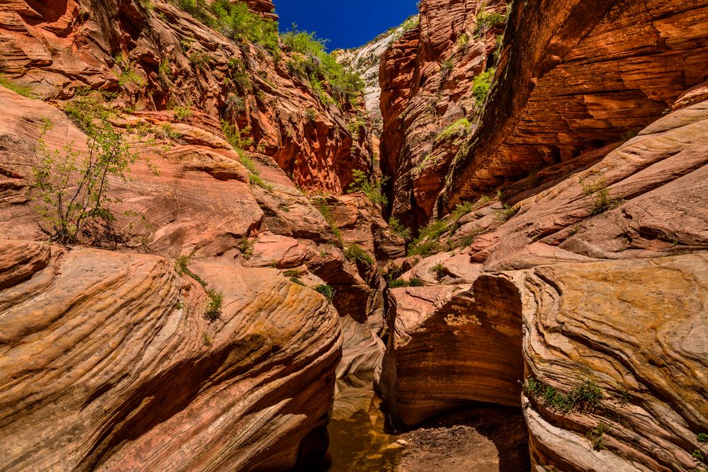 Echo Canyon, Zion NP, Utah, USA