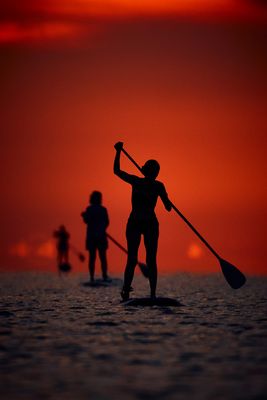 "Echoes of Serenity"