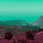 Echoes  (Sicilian Landscape)