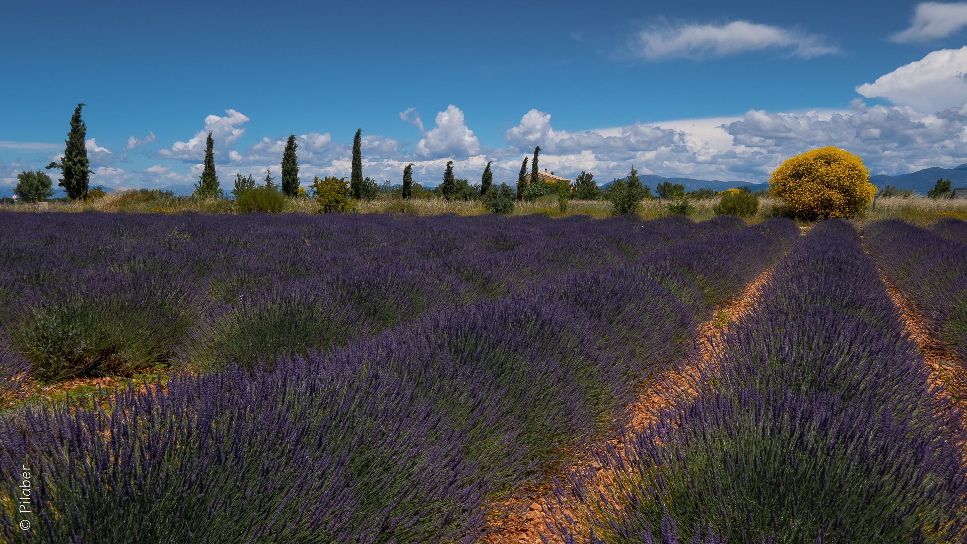 Echt Provence