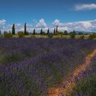 Echt Provence