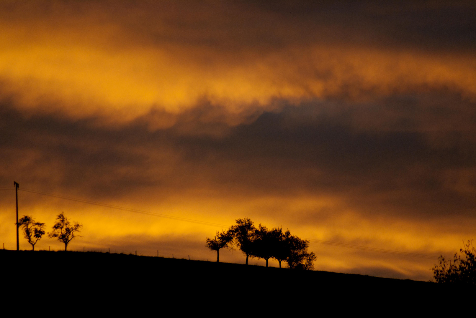 Echt Schaf der Himmel