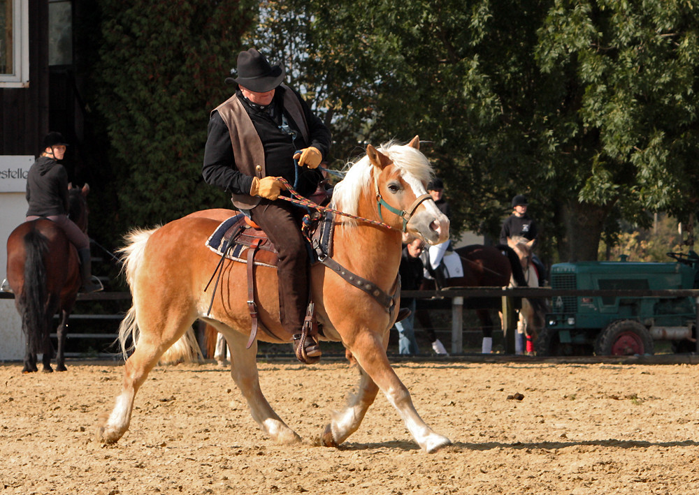 Echte Cowboys ;-)