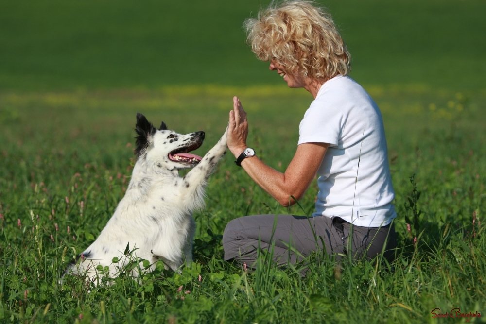 Echte Freundschaft