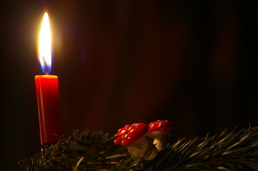 Echte Kerzen am Weihnachtsbaum Foto & Bild weihnachten, stillleben
