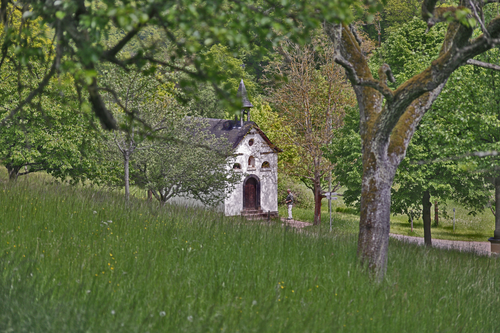 echte landschaft