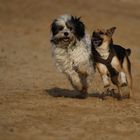 echte Männerfreundschaft