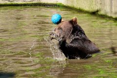 Echter Hamburger Handballer !