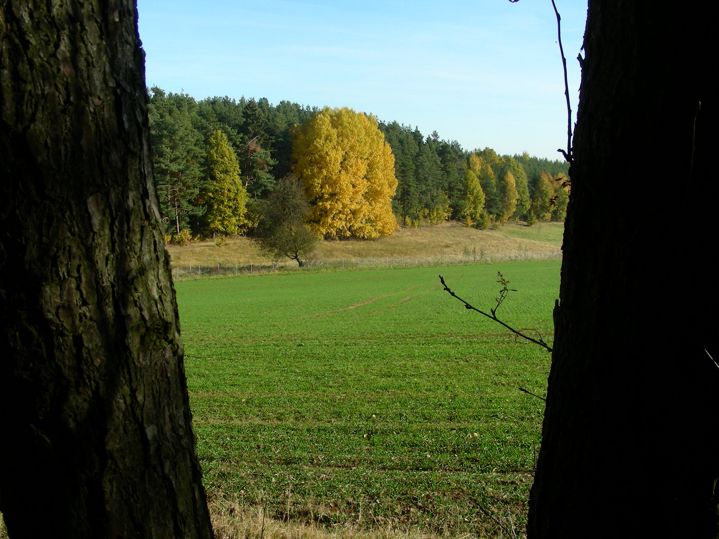 Echter Naturholzrahmen...