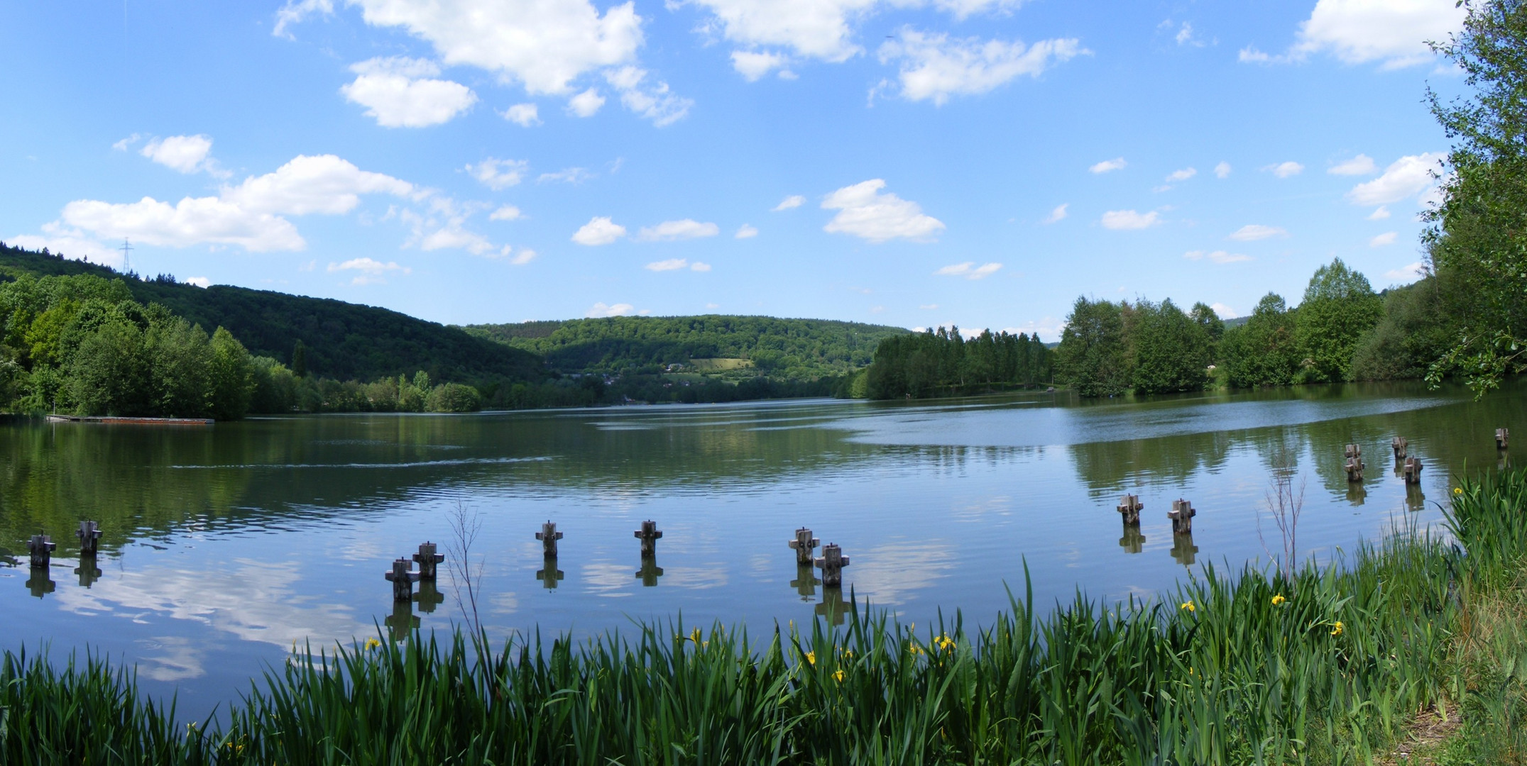 echternacher-see-foto-bild-landschaft-bach-fluss-see-see