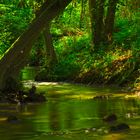 Eckbach vor Neuleiningen Tal