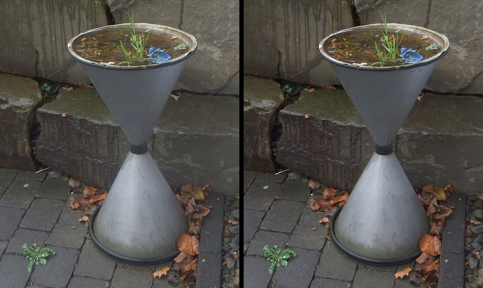 Ecke Foto & Bild spezial, outdoor, pflanzen Bilder auf