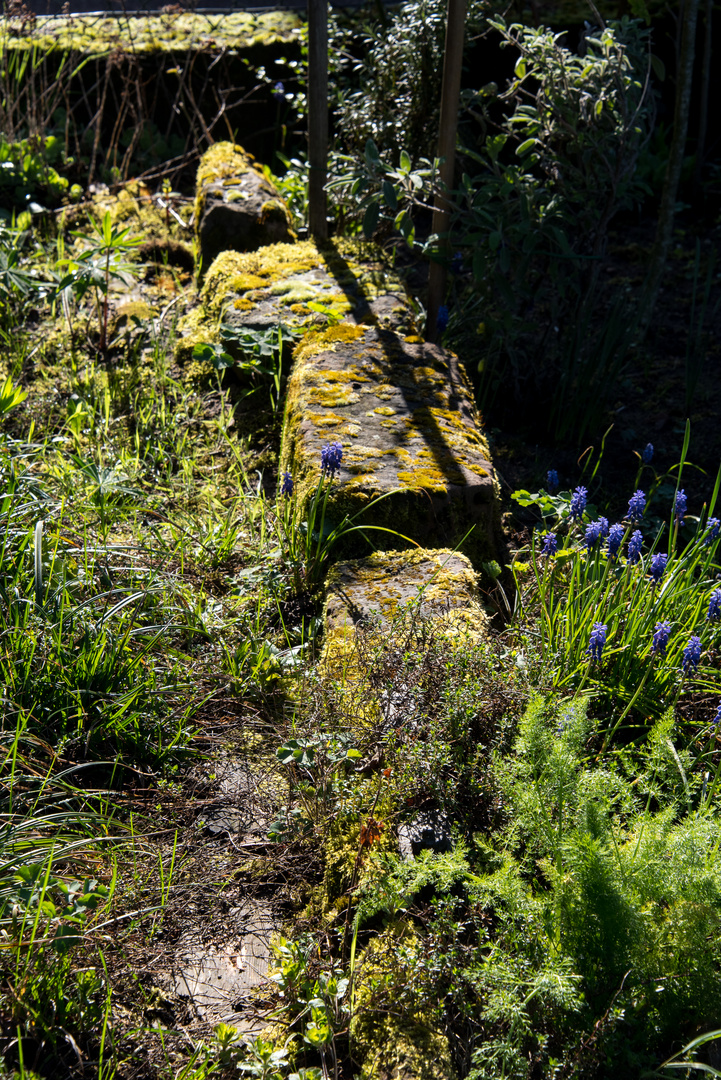 Ecke im Garten