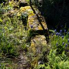 Ecke im Garten